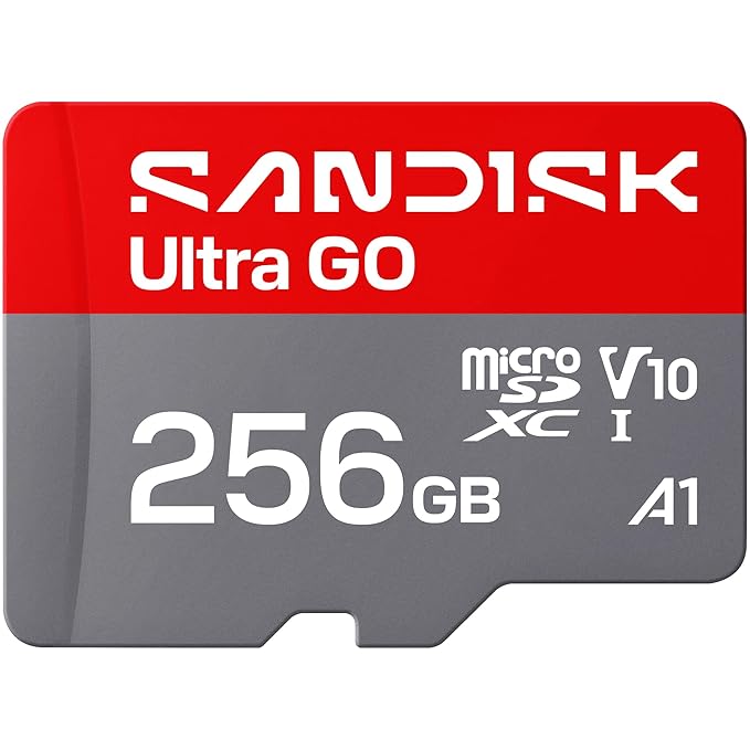 SanDisk Ultra Go 256GB microSD